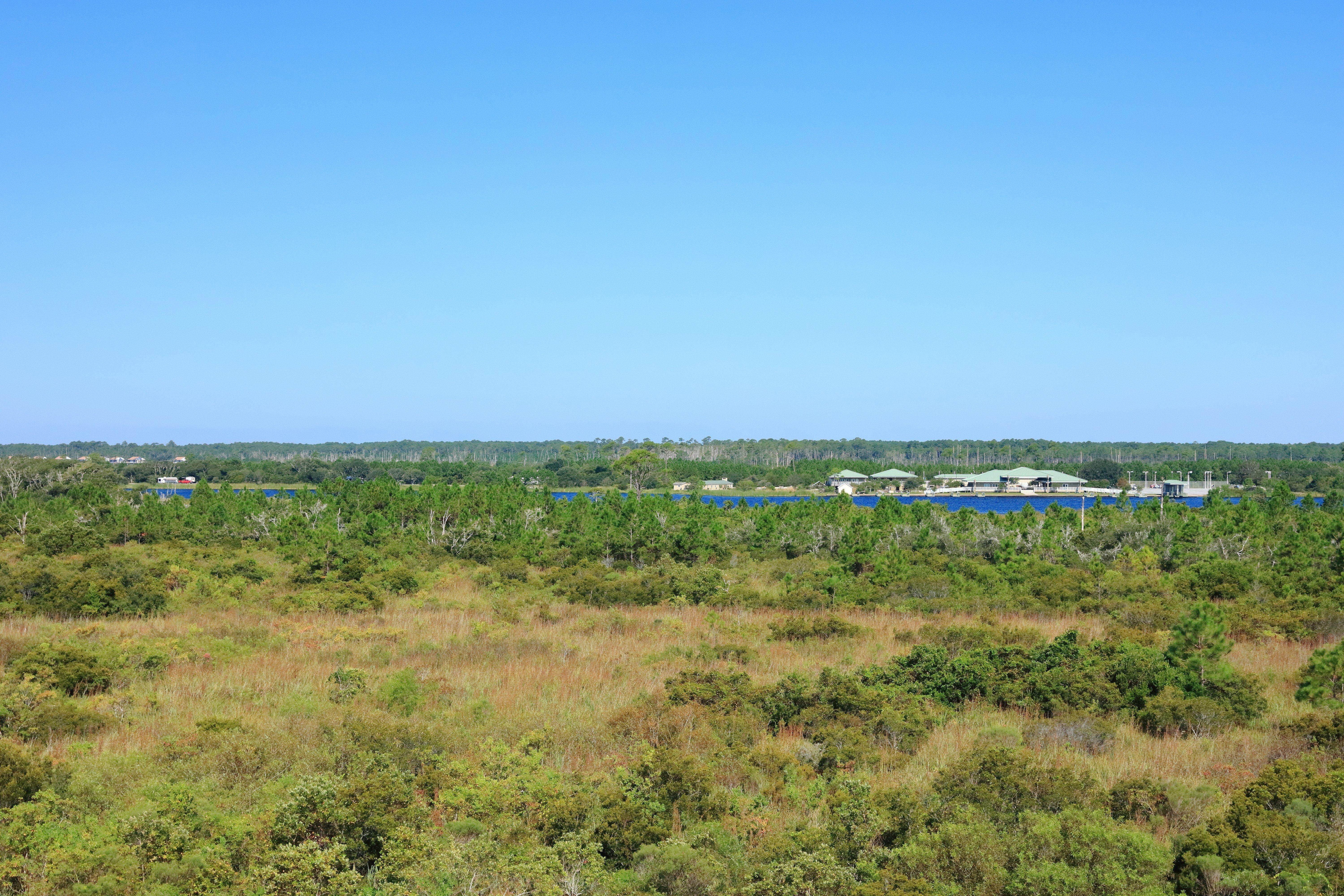 Hotel Indigo Orange Beach - Gulf Shores By Ihg Dış mekan fotoğraf